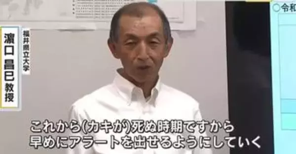 【養殖カキの大量死問題】梅雨時期に雨が少なかったことや、高水温、高塩分など複合的なストレスが要因か…