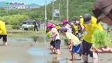 「子どもたちの挑戦・冒険・発見を応援する「わんぱく大作戦」今回は広島県東広島市で“田植え”に挑戦!!」の画像1