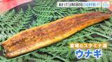 「２６日は【土用の丑の日】「香りだけでご飯が進みそう！」 今年は稚魚が豊漁で、相場が下がる！」の画像1