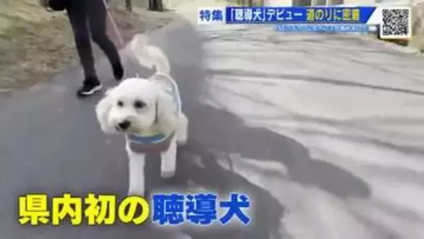 県内初の「聴導犬」　デビューまでの道のりに密着　音のない世界で暮らす人を支える　広島