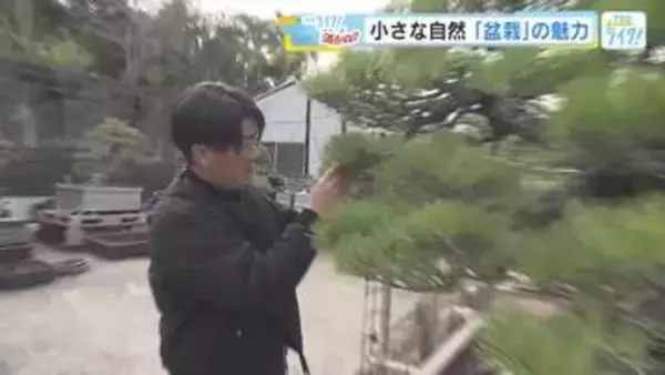 「盆栽」の魅力！ デジタルデトックスに自然と向き合う時間　魅力を広げる新しい取り組みも　広島