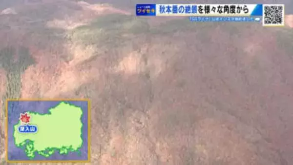 秋本番の絶景を探しに　宮島、帝釈峡、佛通寺、筒賀のイチョウ、深入山　綺麗に色づく紅葉を様々な角度から