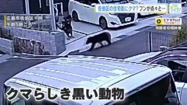 「クマが出ると顕著に売れる」クマ除けグッズ　ホームセンターは品数増やして対応　広島市で目撃情報相次ぐ