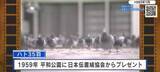 「【広島あの日のきょう】平和のシンボル“ハト”のフン公害が深刻化　広島市が対策に乗り出す（1993年）」の画像1