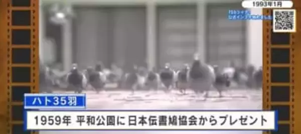【広島あの日のきょう】平和のシンボル“ハト”のフン公害が深刻化　広島市が対策に乗り出す（1993年）