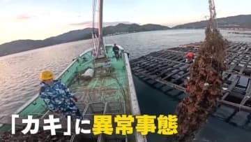 カキ大量死は『貧酸素』が原因か　「海底のヘドロから出る硫化水素が酸素を奪う」専門家が警鐘