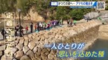 魚が棲むアマモの森を再び大崎上島の海に「ひろしま海の森づくりプロジェクト」　ＳＴＵ４８も種まきに参加