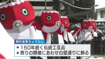 夏の風物詩「柳井金魚ちょうちん」約2500個を白壁通りに飾りつけ　柳井市の伝統工芸品　山口