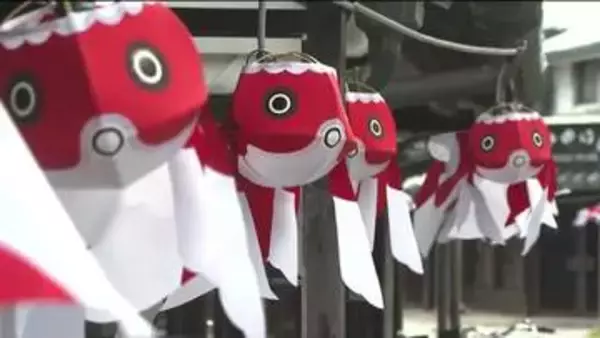 夏の風物詩「柳井金魚ちょうちん」約2500個を白壁通りに飾りつけ　柳井市の伝統工芸品　山口