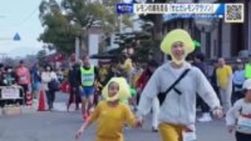 レモンの島を走る「せとだレモンマラソン」　全国から1543人参加　給水所ではレモン水や柑橘も！ 広島