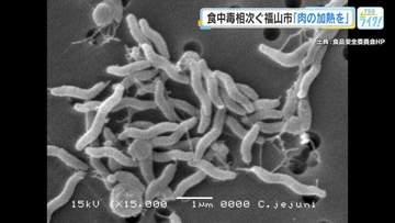 「肉の十分な加熱と調理器具の洗浄をしっかりと」食中毒相次ぐ福山市で保健所職員らが予防を呼び掛け　広島
