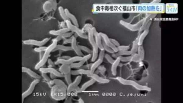「肉の十分な加熱と調理器具の洗浄をしっかりと」食中毒相次ぐ福山市で保健所職員らが予防を呼び掛け　広島
