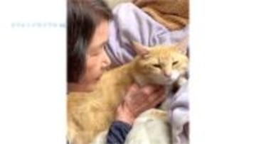 【すきゅん写真展】「時を超えて」ひいおばあちゃんと初対面、初めてのひ孫、癒し癒され、おじいちゃんと