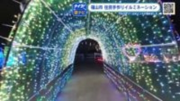 「温かな光でほっこり」住民の手作りイルミネーション試験点灯　広島・福山市