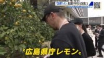 「広島県庁レモン」たわわに実る　園児も手伝い収穫祭　今年は2000個以上を収穫
