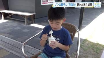 熱中症の疑いで搬送１３人　安芸太田町加計３８．３℃、府中市３７．６℃観測　週末も警戒を　３１日　広島