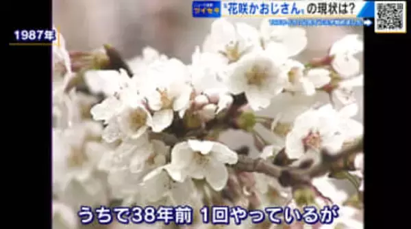 毎日サクラとにらめっこ！ 予定より開花が早まるか！？ 「花咲かおじさん」の現状は… 広島市植物公園