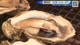 「生き残りの牡蠣で『かき祭り』！ 「大打撃でも下を向いていられない…やってよかった！」　広島・廿日市市」の画像1