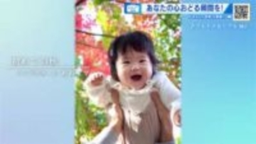 【ずきゅん写真展】テーマは『成長』　おいしっ、怖くないよ！、涙越しのファインダー、初めての秋