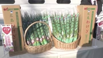 生産量日本一！広島特産「わけぎ」を北海道へ空輸　販路拡大に新たな取り組み