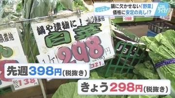 野菜の価格は？　青果店が教える『買い時』は…きのこ・白菜・水菜…今どうなってる？　広島