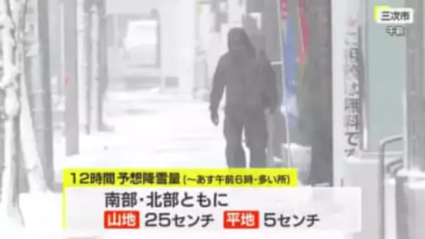 【１１日夕方時点】県内の雪は夜まで断続的に降る予想　１２日には山沿い中心へ