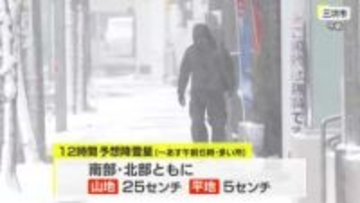 【１１日夕方時点】県内の雪は夜まで断続的に降る予想　１２日には山沿い中心へ