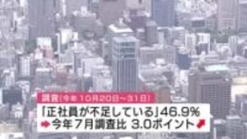 広島県内企業の約半数「正社員の人手不足」 人件費上昇や若者流出で採用厳しい状況　帝国データバンク調べ