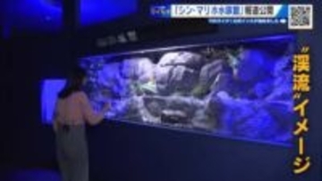「シン・マリホ水族館」 来週のオープンを前に報道公開　瀬戸内の魚から陸の生き物まで展示　広島