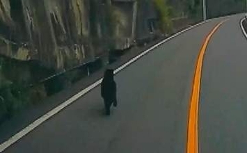 「びっくりした。生まれて初めて見た」　安芸太田町で1メートルほどのクマ目撃　県は注意呼びかけ