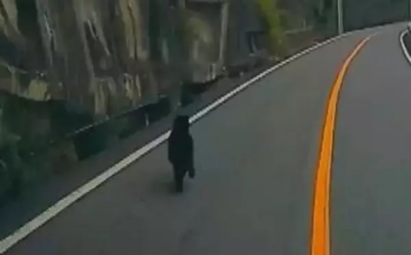 「びっくりした。生まれて初めて見た」　安芸太田町で1メートルほどのクマ目撃　県は注意呼びかけ