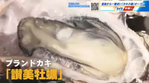 宮島から一番近い『カキ小屋』オープン！ 「味が濃くて身がしっかりとしたカキしか提供しない」広島