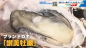 宮島から一番近い『カキ小屋』オープン！ 「味が濃くて身がしっかりとしたカキしか提供しない」広島