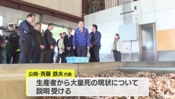 養殖カキの大量死　公明・斉藤代表　呉市の養殖現場を視察