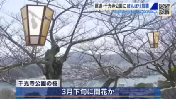 尾道の名所・千光寺公園にぼんぼり設置　「淡い光で桜を楽しんで…」　３月下旬に開花見込み　広島