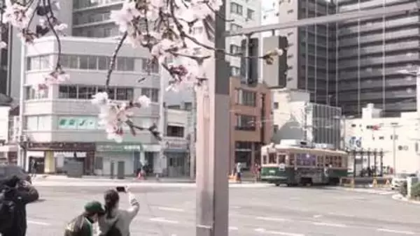 「住民も鉄道ファンも感無量 広島電鉄「循環線」出発進行 ２８日 広島市」の画像