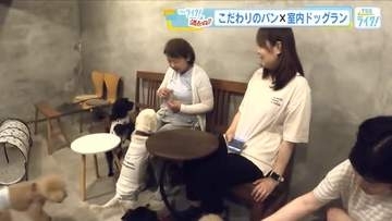 『こだわりパン屋』の中に『室内ドッグラン』！？　雨の日でも飼い主と愛犬がハッピーに　広島