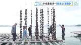 「日本一のカキの産地広島　今年のカキはどうなる？　出荷は11月2日以降　生産者が独自に手探りの対策」の画像1