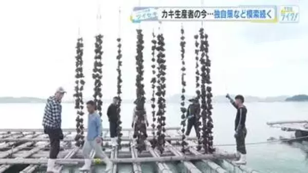 日本一のカキの産地広島　今年のカキはどうなる？　出荷は11月2日以降　生産者が独自に手探りの対策