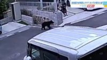広島市佐伯区の住宅街にクマ？　防犯カメラに黒い動物　「不安です、怖いです」小学校１校が臨時休校
