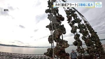 カキ大量死のリスク　"厳戒アラート"海域拡大　「広島湾北中部」に加え、新たに「西部」「南部・呉湾」も