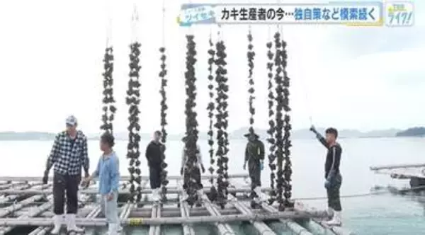 今年のカキはどうなる？　日本一のカキの産地広島　生産者が独自に手探りの対策　出荷は11月2日以降に