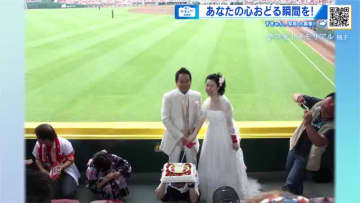 【ずきゅん写真展】いい夫婦の日…結婚44年目、桜が見ていた日、マツスタで披露宴、星空　心躍る瞬間を