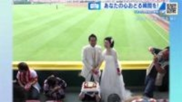 【ずきゅん写真展】いい夫婦の日…結婚44年目、桜が見ていた日、マツスタで披露宴、星空　心躍る瞬間を