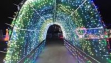 「温かな光でほっこり」住民の手作りイルミネーション試験点灯　広島・福山市