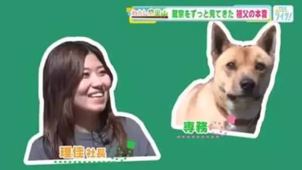 【わたしの里山】祖父母の「ブドウ園」を継ぐために移住してきた孫（女性）に密着！広島・三原市大和町蔵宗