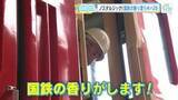 「【てつたま】「津山まなびの鉄道館」に潜入！機関車ＤＥ５０形、気動車キハ２８・５８…国鉄の香り漂います」の画像1