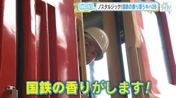 【てつたま】「津山まなびの鉄道館」に潜入！機関車ＤＥ５０形、気動車キハ２８・５８…国鉄の香り漂います