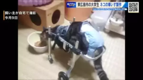 足が不自由なネコに「特別な車いす」広島国際大学の学生が動物の義足開発目指し研究会立ち上げ