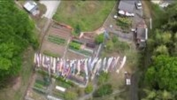 地域の思いをつなぐこいのぼり　住民が里山に色とりどりのこいのぼり掲げる　広島・福山市新市町